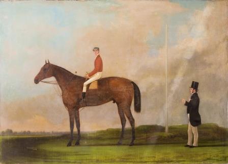 Portrait of an Arab Stallion Portrait of an Arab Stallion