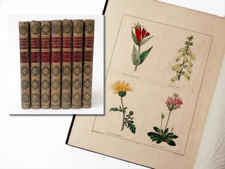 Books – The Botanic Garden