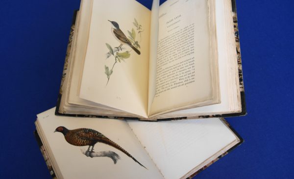 Bird Books.